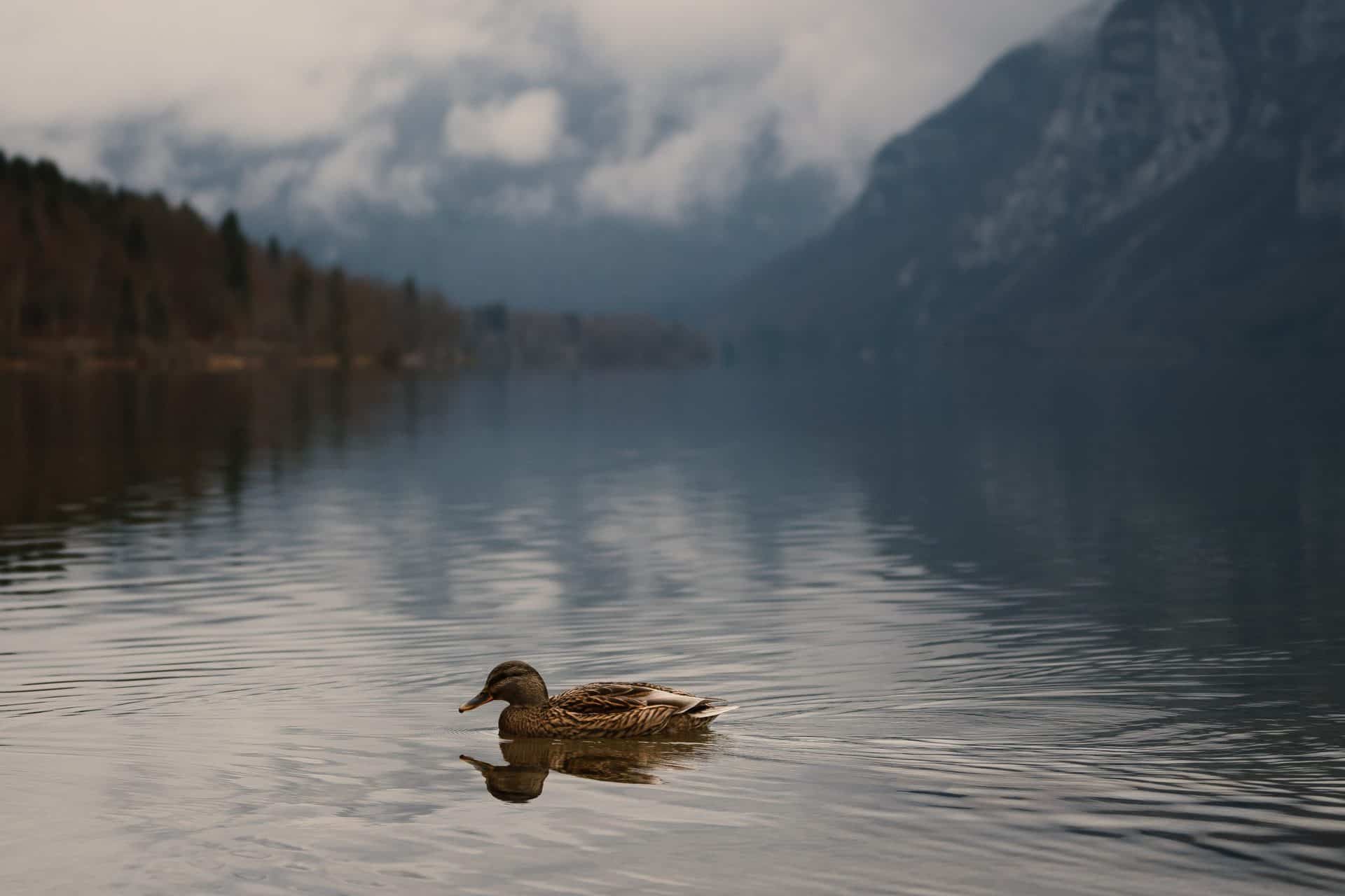 Reassurance and remote possibilities: Travel & Tourism post-lockdown